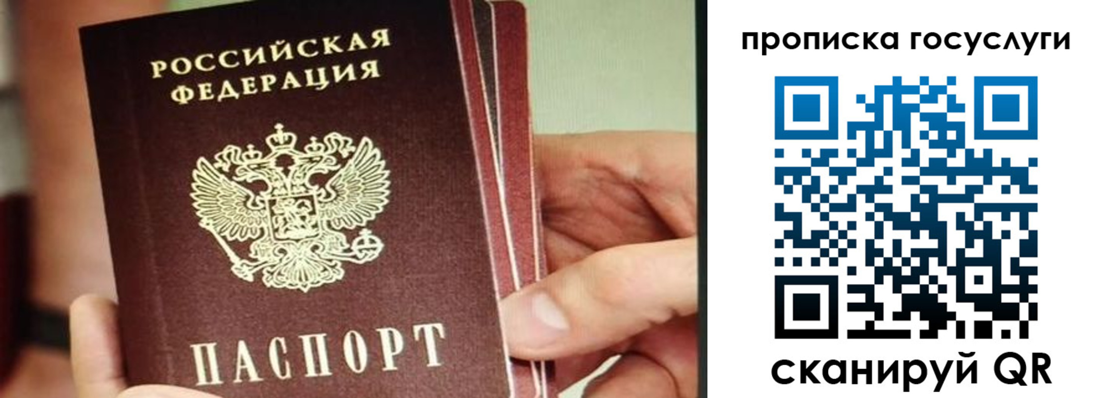 пропишу в квартире в Елизово